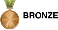BRONZE BRONZE